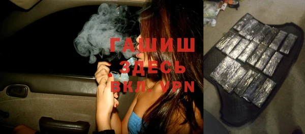 индика Белокуриха