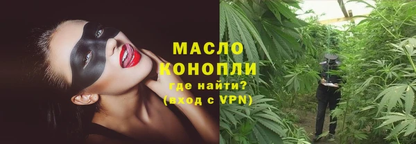 индика Белокуриха