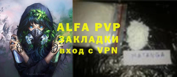 индика Белокуриха