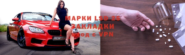 индика Белокуриха