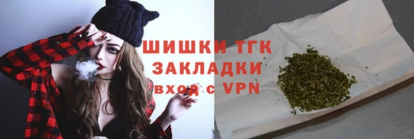 индика Белокуриха