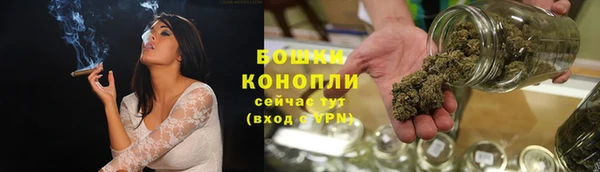 индика Белокуриха