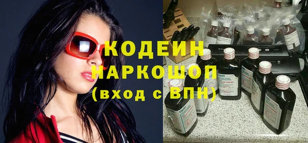 индика Белокуриха