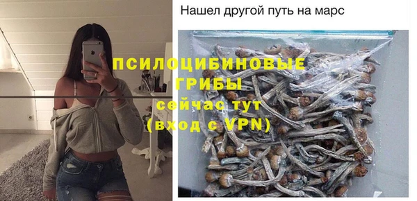 прущие крисы Белоозёрский