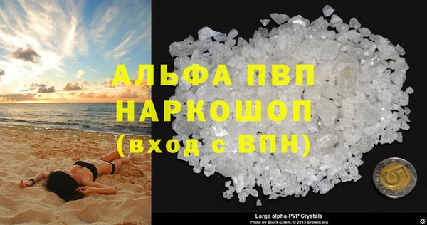 индика Белокуриха
