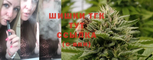 индика Белокуриха