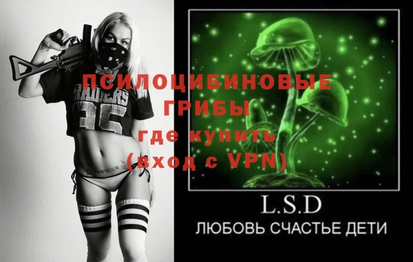 индика Белокуриха